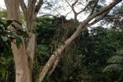 20191007_124711