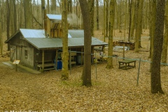 A modern Syrup house where sap is cooked down into syrup.  The blue lines are tubes from the trees  into the cooking pots.