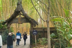 San Diego Zoo Safari Park Tiger Train Entrance