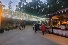 Leaving the San Diego Zoo Safari Park near dark