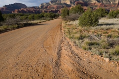 Along the Forest Road on the way to Palatki site