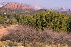 Along the Forest Road on the way to Palatki site