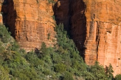 Scenery along Boynton Canyon Road, Sedona AZ