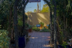 Entrance to the Herb Garden a vine covered trellis in the Tuscon Botanical Gardens