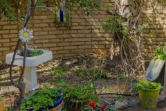 Backyard garden display with a wall and old sink in the Tuscon Botanical Gardens