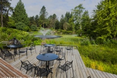 Pond adjacent to the entrance plaza at the VanDusen Botanical Garden