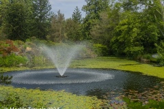 A Fountain near the entrance plaza at the VanDusen Botanical Garden 