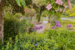 Perennials in the permanent gardens of the VanDusen Botanical Garden