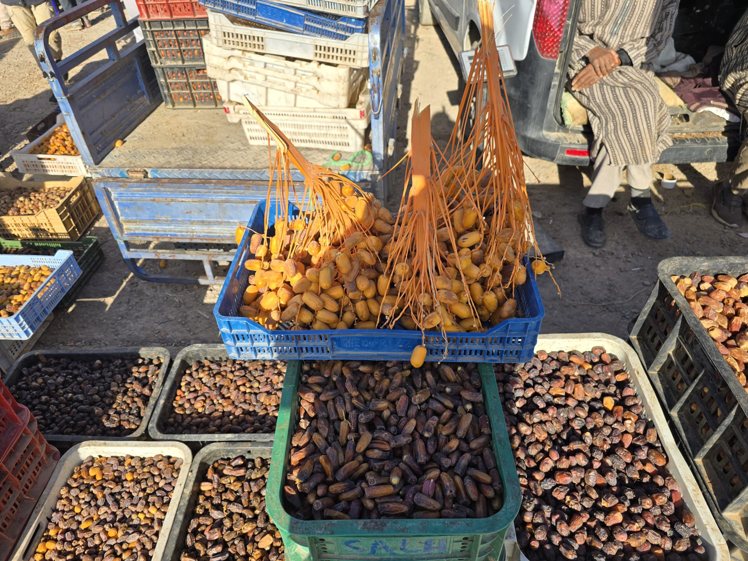Erfoud, Morocco Date Market