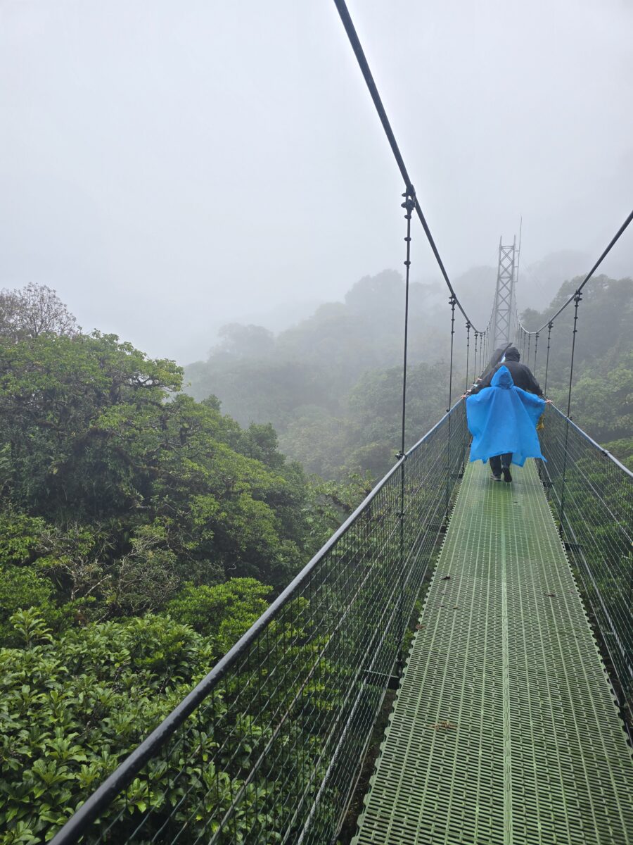 A suspension bridge in a cloud forest on a foggy and rainy day there is a person in a blue rain poncho on the bridge.